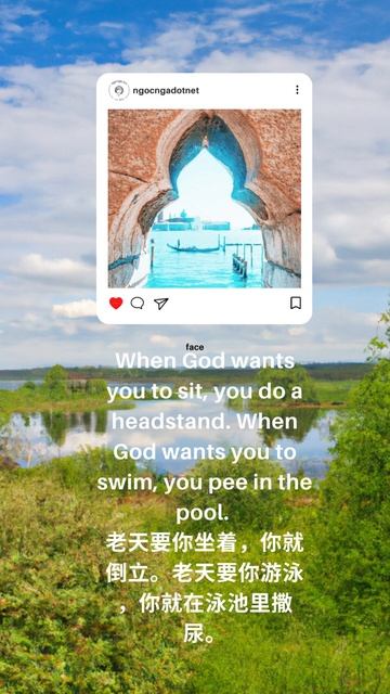 That's Life смотреть онлайн