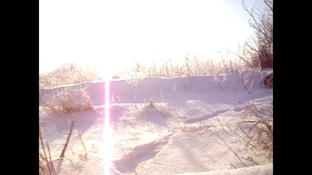 Охота на.зайца.охоту.02.01.2018.1-ч.По куропатчим следам. смотреть онлайн