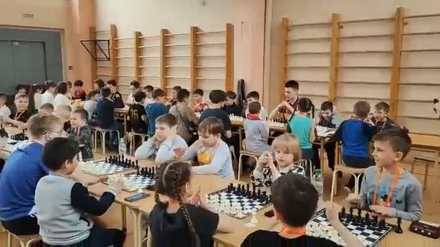 Флешмоп на турнире под Queen 2 смотреть онлайн