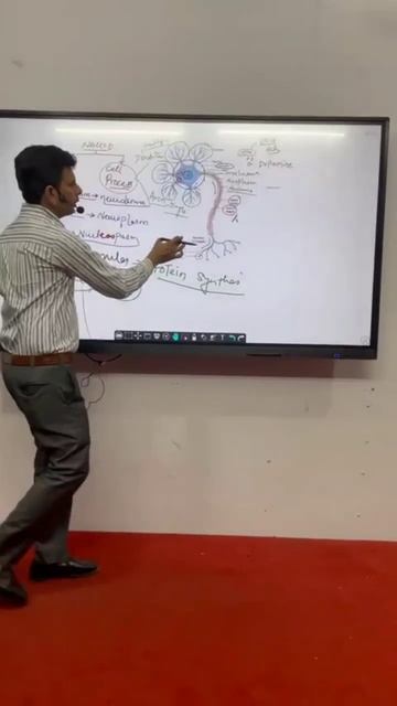 NCLEX Next Gen Batch: The Ultimate Guide смотреть онлайн