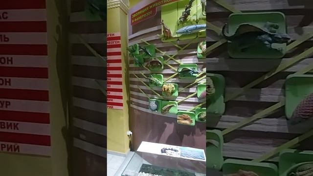 Музей природы и палеонтологии, Алматы