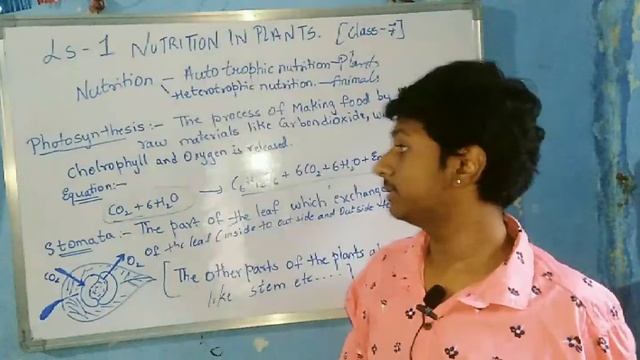 Ls -1 NTRITION IN PLANTS CLASS-7SUPER EDUCATION MASTERS смотреть онлайн