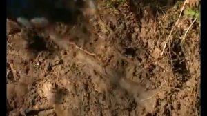 ДОРОГА ЖИЗНИ... ДОРОГА СМЕРТИ....mp4