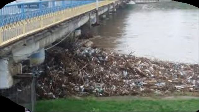 Збережемо природу рідного краю смотреть онлайн