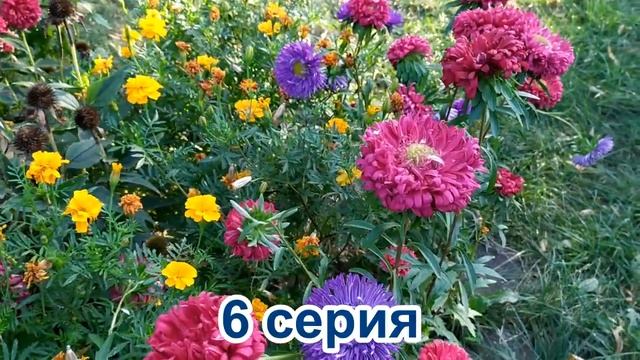 Склифосовский 8 сезон 5-6 серия смотреть онлайн