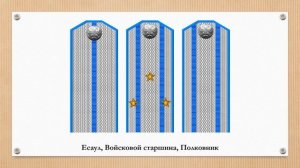 Знаки различия чинов конных полков Оренбургского казачьего войска
