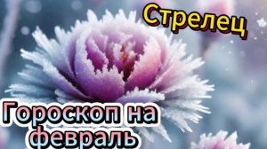 СТРЕЛЕЦ! Гороскоп на февраль 2025 года!