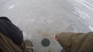 Рыба просто ловится!!!  Зима всем в помощь. Больше каши больше рыбы. Юрий Философ.