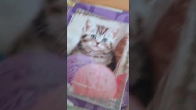 мой день в школе 5 урок Английский язык ураа смотреть онлайн