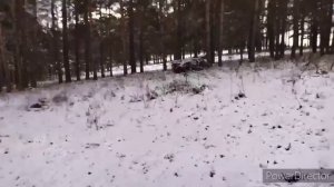 Нашли сектантов в лесу (два школьника в лесу)