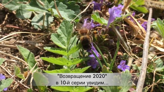 ВОЗВРАЩЕНИЕ. 10 серия (2020) Остросюжетная мелодрама. АНОНС И ДАТА ВЫХОДА смотреть онлайн