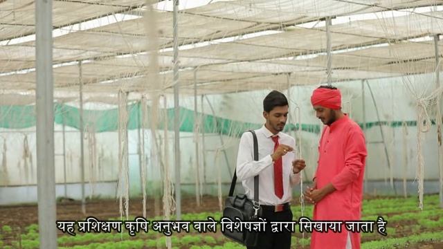 2023 Learn Hydroponics Online Free | Hydroponics Training For Beginners | Practical Demonstrations