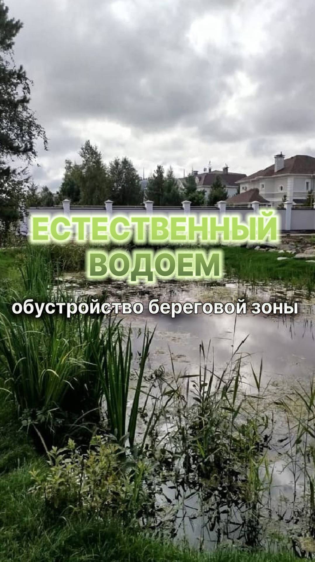 Естественный водоем в дизайне участка