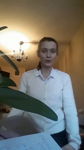 My favorite French ❤ смотреть онлайн