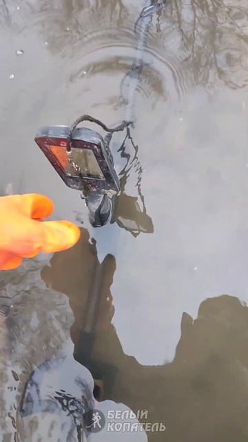 Находка с металлоискателем, смотрите что попалось! смотреть онлайн