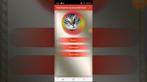 как говорить по кошачьи