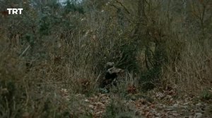 Воскрешение Эртугрул Сезон 3 Серия 15