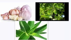 Виоргон 34 Германий Омоложение клеток и многое другое.