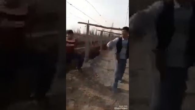 Шудын боиында смотреть онлайн