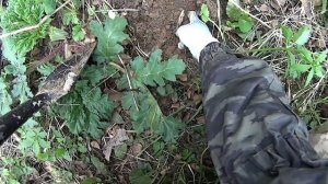 Раскопки с металлоискателем Garrett Apex и Nel Tornado в весеннем лесу!