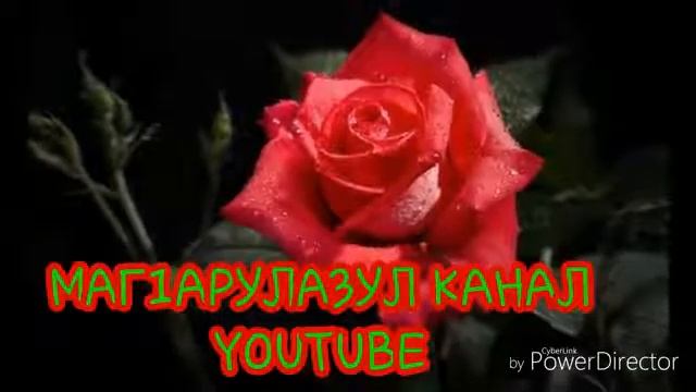 Нашид на аварском смотреть онлайн