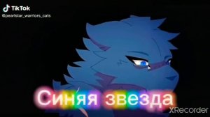 Видео из ТТ КВ(Коты Воители)