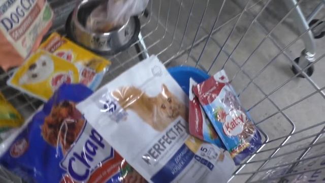 ТЕЛЕЖКА ДОБРА = ДЛЯ БРАТЬЕВ МЕНЬШИХ = ВОЛГОРЕЧЕНСК смотреть онлайн