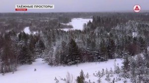 Зарисовка "Таёжные просторы"