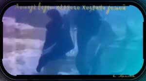 Лошадь ведет пьяного хозяина домой
