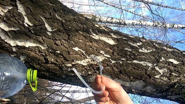 березовый сок смотреть онлайн