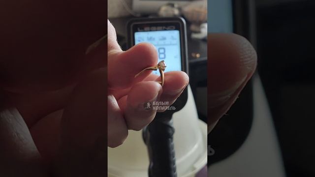 Реакция Nokta Legend на золото с включенным фильтром пробок bC смотреть онлайн