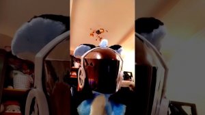 ☢️Создание протогена.Краткое содержание☢️