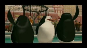 Пингвины с матом  молдавский