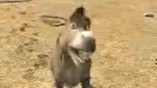 ТАДЖИКСКИЙ ШРЕК смотреть онлайн