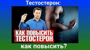 Доктор Берг. Тестостерон как повысить?