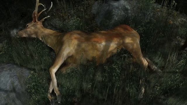 Выживание начинается. Tomb Raider 1 серия. Перед просмотром рекомендую прочесть описание! смотреть онлайн