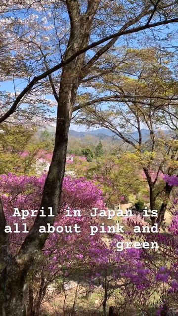 #pink and green Japan смотреть онлайн