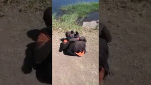 Человек без костей. Я в ужасе от таких людей.😱