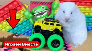 Хомяк в лабиринте ! Поп-иты, машинки и ловушки ! Видео для детей !