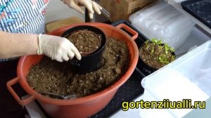 Открытие сезона 2025. 27.01.2025 г