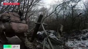 ВС РФ освободили Николаево-Дарьино в Курской области