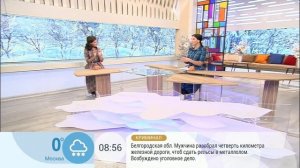 Екатерина Стриженова