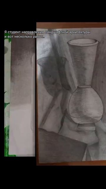 #сад #ландшафт #природа #искусство #алтай #АГУ смотреть онлайн