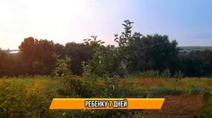 Контейнер 2 сезон 1-8 серия (2022) // Премьера Старт