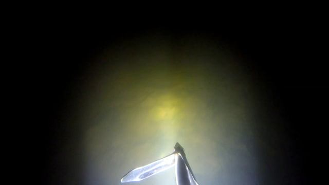 Ночная подводная охота на сазана! смотреть онлайн