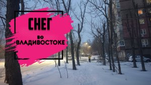 Владивосток январь 2025
