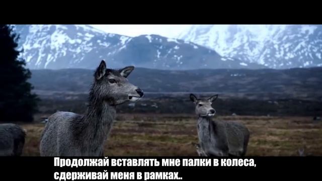 BONES -90210 (Русский перевод ) смотреть онлайн