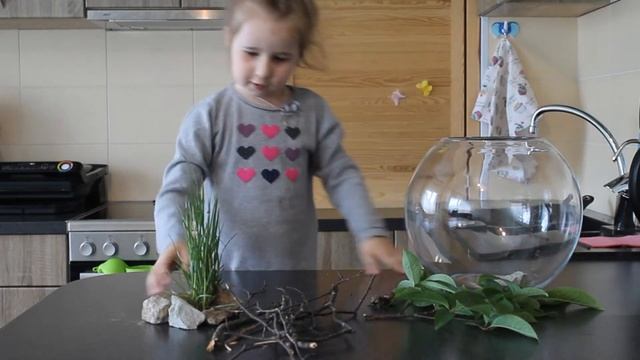 В мире животных смотреть онлайн