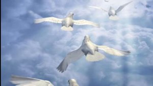 Душа искала чистоты  христианская музыка ехб мсц