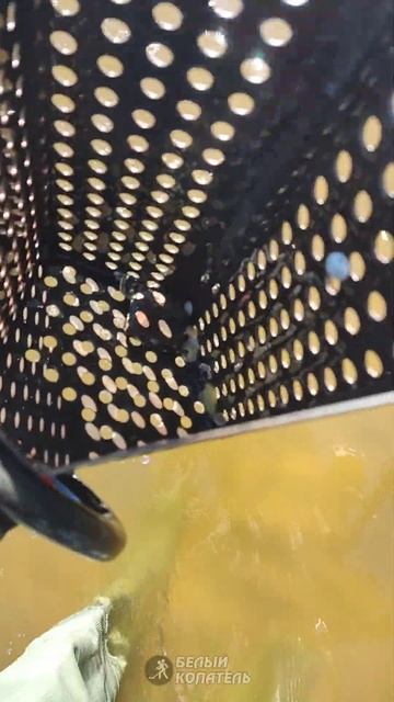 Посмотрите что я нашёл с металлоискателем смотреть онлайн